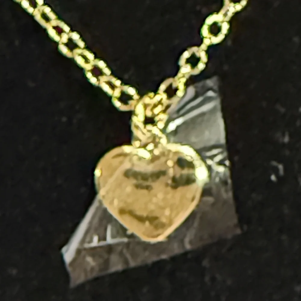 Coach fine gold